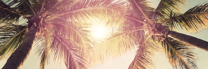 Crédence de cuisine en verre imprimé Palmier Paysage tropical avec palmiers et ciel ensoleillé