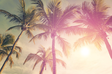 Tropisch landschap met palmbomen en zonnige lucht