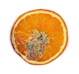 Moldy rotten slice orange isolated on white background, top view