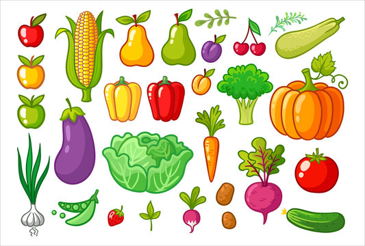 Vector set with vegetables. A collection of vegetarian food. Fruits and vegetables.