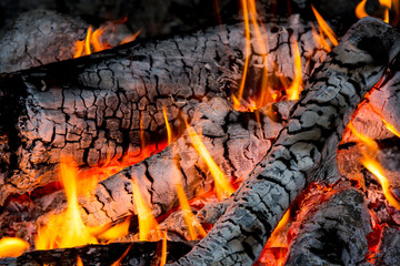 Hot flames of campfire