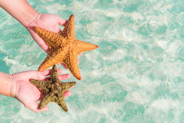 Tropical white sand with starfish in hands background the sea