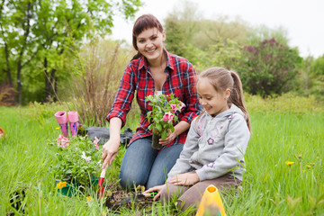  young woman and little girl planting flowers together in their garden.  The girl helping young woman gardening