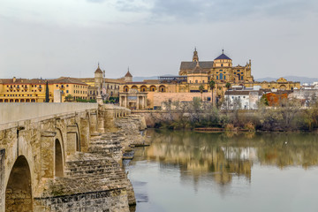view of Cordoba with Mosque Cathedral, Spain