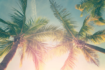 Fototapeta premium Tropikalny krajobraz z drzewkami palmowymi i pogodnym niebem