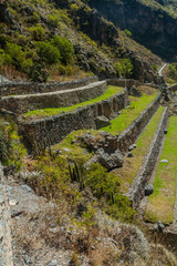 Fototapeta na wymiar Agricultural terraces of Inca ruins of Ollantaytambo, Sacred Valley of Incas, Peru