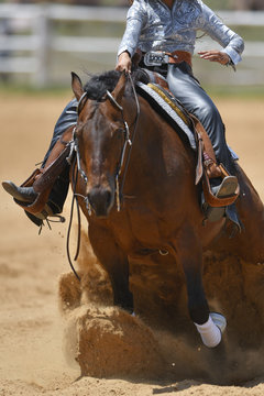 The front view of a rider in cowboy chaps and boots sliding the horse in the sand