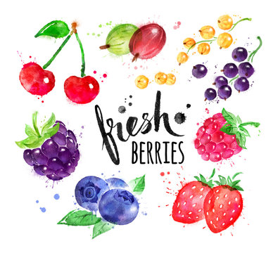 Hand painted watercolor set of berries