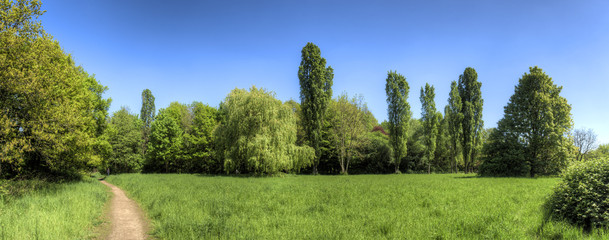 Wald © Frank Wagner