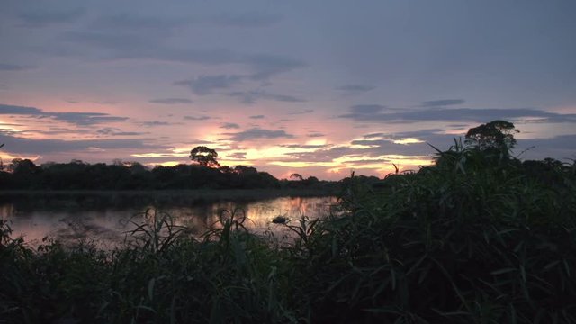 sunset in the Pantanal wetlands