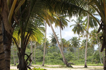 Republica Dominicana