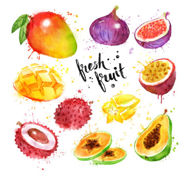 Watercolor set of tropical fruit