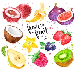 Fotobehang Aquarel illustratie set van fruit © Sonya illustration
