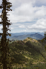 Mountain view with forest and blue sky