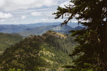 Mountain view with forest and blue sky