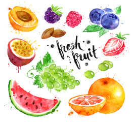 Watercolor colorful illustration set of fresh fruit