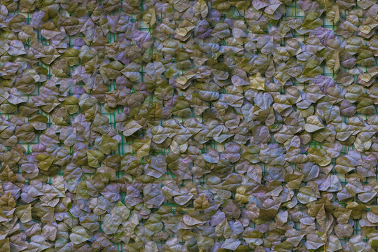 Pattern di foglie finte