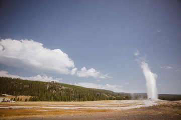 Old Faithful on sunny day