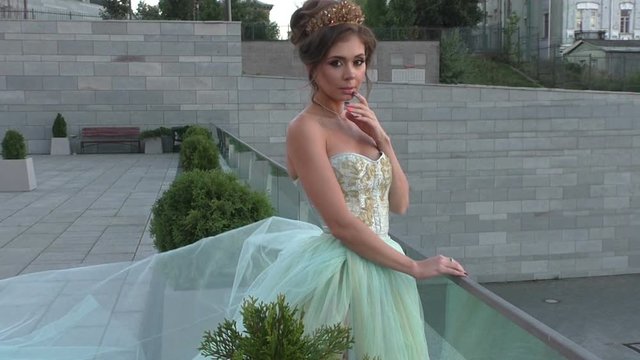 Girl Queen with a crown in a beautiful dress.