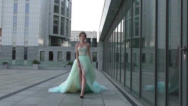 Queen with the crown and a long lavish dress goes among the buildings.
