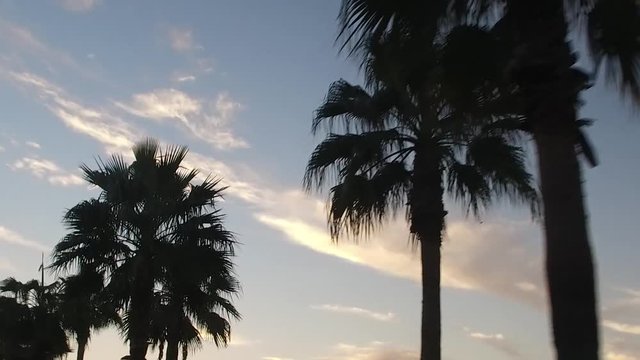 corvette driving with girl