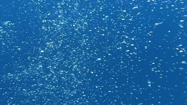 Divers bubbles in the blue sea