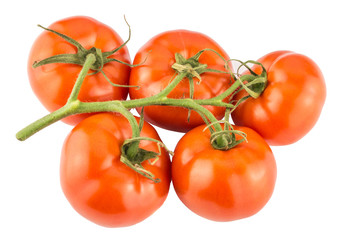 Tomatoes bunch isolated on white background close up.