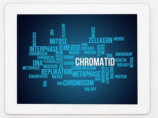 Chromatid
