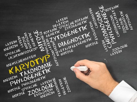 Karyotyp