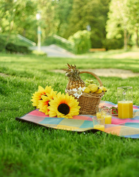 Still life with picnic outdoors