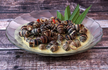 Siput Masak Lemak - Traditional Malay Cuisine. snails cook with turmeric herbs, coconut milk, spices and chilli