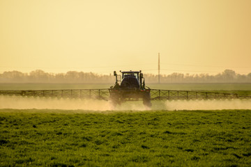 Naklejka premium Tractor on the sunset background. Tractor with high wheels is making fertilizer on young wheat. The use of finely dispersed spray chemicals