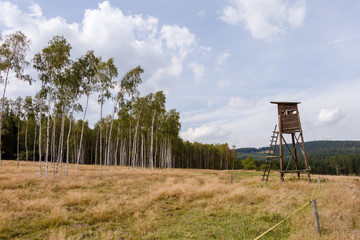Budka obserwacyjna na skraju lasu w lecie