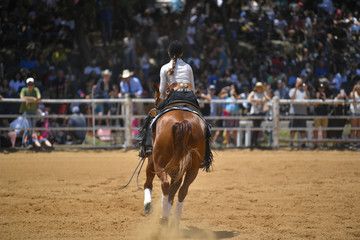 A rear view of a rider gallops on horseback on the sandy field