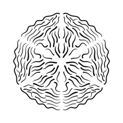 Obraz premium Calligraphic elements for different design
