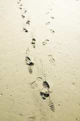 砂浜の足跡