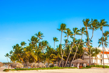 Beautiful sunny day in Punta Cana