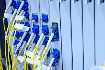 Fiber optic cable connected to card interface of networking switch