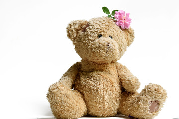 Lovely teddy bear on white background