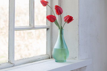 red tulops in vase on white background