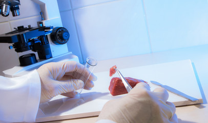 eine Probe von einem Stück Rindfleisch wird mit einer Pinzette in ein Reagenzglas getan