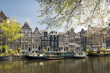 Amsterdam - obrazy, fototapety, plakaty