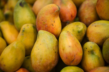 Alimentos de la tierra