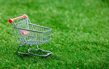 shopping cart on grass