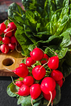 Fresh ingredients for healthy salad – red radish and green lettuce