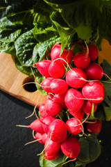 Fresh ingredients for healthy salad – red radish and green lettuce
