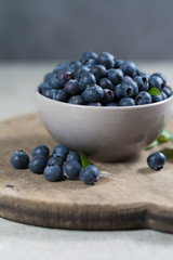 Freshly picked juicy blueberries with green leaves on rustic table. Bilberry on wooden Background. Blueberry antioxidant. Concept for healthy eating and nutrition