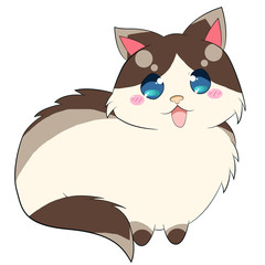 An cartoon style Ragdoll Cat with brown and gray pattern on their long fluffy fur, hainvg one of the cutest face in the world.