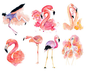  watercolor pink flamingos