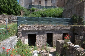Roman Forum in Rome, Italy